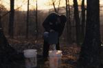 Maple Sugaring 30-20-10186