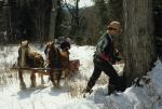 Maple Sugaring 30-20-10226