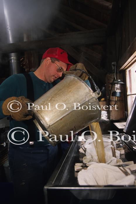 Maple Sugaring 30-20-10379