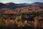 Scenery-Fall 70-05-00364