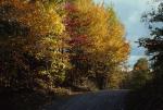 Scenery-Fall 70-05-00676