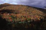 Scenery-Fall 70-05-01320