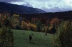 Scenery-Fall 70-05-01329