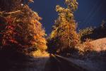 Scenery-Fall 70-05-01688