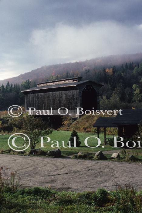 Scenery-Fall 70-05-01983