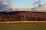 Scenery-Fall 70-05-02611