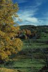 Scenery-Fall 70-05-02976