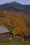 Scenery-Fall 70-05-03497