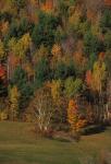 Scenery-Fall 70-05-03528