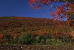 Scenery-Fall 70-05-03830