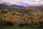 Scenery-Fall 70-05-03975