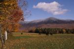 Scenery-Fall 70-05-04934