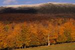 Scenery-Fall 70-05-04951