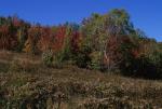 Scenery-Fall 70-05-05635