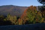 Scenery-Fall 70-05-05693