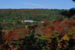 Scenery-Fall 70-05-06623