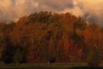 Scenery-Fall 70-05-10913