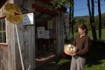 Cheese-Making 30-08-00962