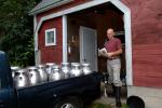 Cheese-Making 30-08-00965