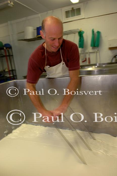 Cheese-Making 30-08-00986