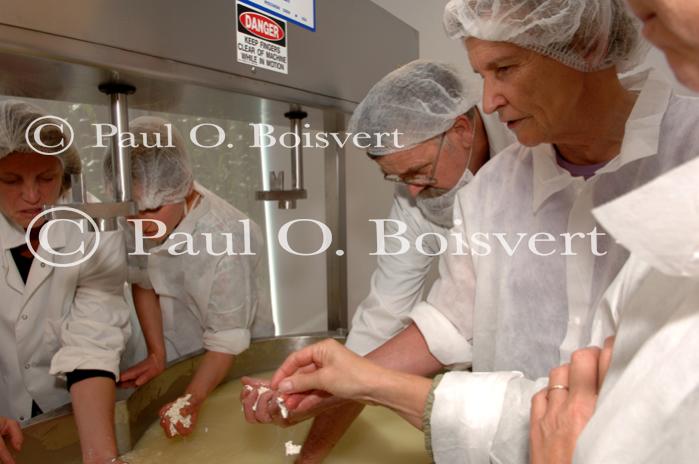 Cheese-Making 30-08-00987