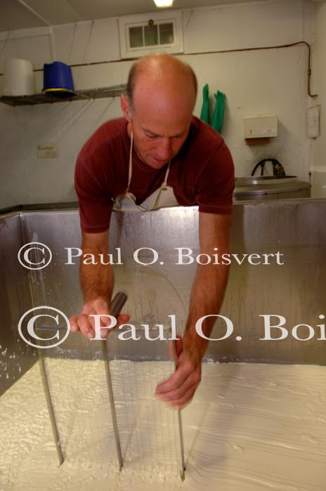 Cheese-Making 30-08-00989