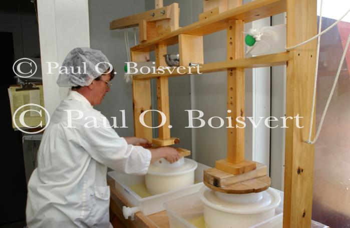 Cheese Making 30-08-01023