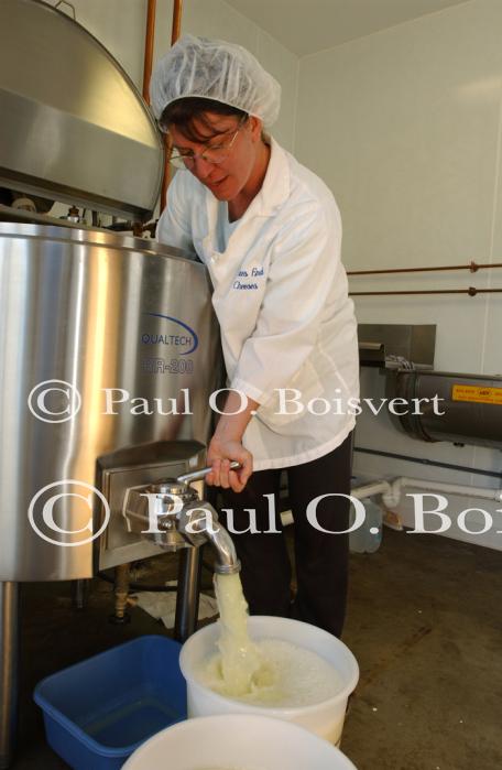 Cheese Making 30-08-01028