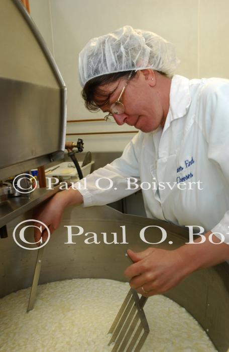 Cheese Making 30-08-01031