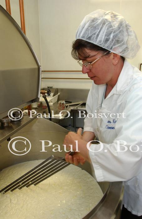 Cheese Making 30-08-01032