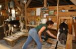 Cheese Making 30-08-01035