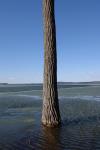 Lake Champlain 53-00-09963