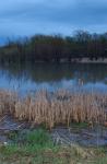 Lake Champlain 53-00-10011