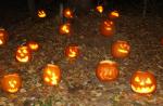 Holiday-Halloween 50-15-00200