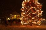 Holiday-Christmas 50-05-01748