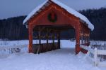 Holiday-Christmas 50-05-01750