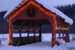 Holiday-Christmas 50-05-01751