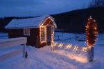 Holiday-Christmas 50-05-01753