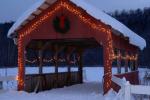 Holiday-Christmas 50-05-01754