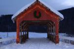 Holiday-Christmas 50-05-01756