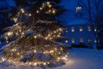 Holiday-Christmas 50-05-01760