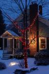 Holiday-Christmas 50-05-01774