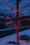 Holiday-Christmas 50-05-01775