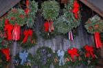 Holiday-Christmas 50-05-01785