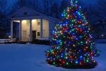 Holiday-Christmas 50-05-01793