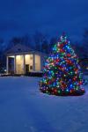 Holiday-Christmas 50-05-01794