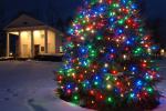 Holiday-Christmas 50-05-01796