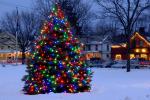 Holiday-Christmas 50-05-01803