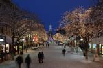 Holiday-Christmas 50-05-01812