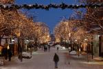 Holiday-Christmas 50-05-01824